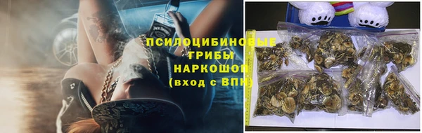 mdpv Ладушкин