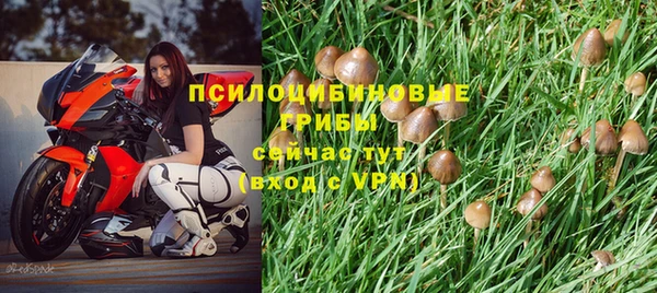 a pvp Магас