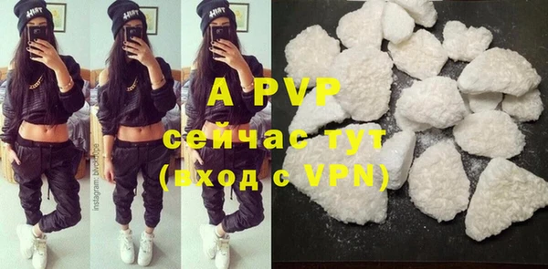 a pvp Магас