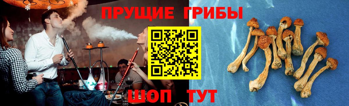 Галлюциногенные грибы Psilocybe  Вход с VPN  Мелеуз 